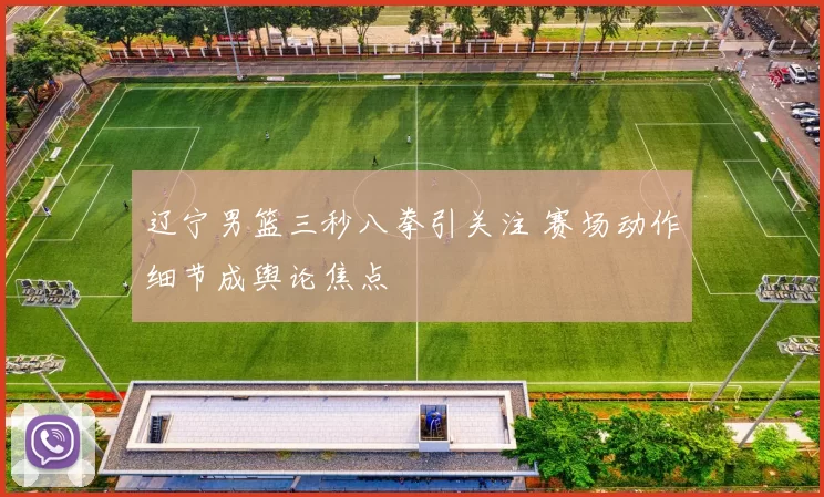 辽宁男篮三秒八拳引关注 赛场动作细节成舆论焦点