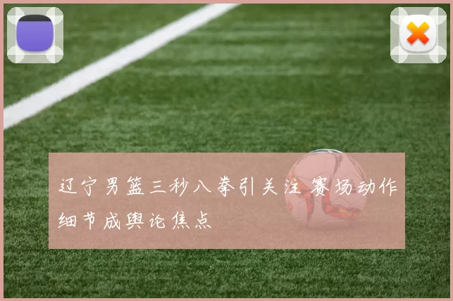 辽宁男篮三秒八拳引关注 赛场动作细节成舆论焦点