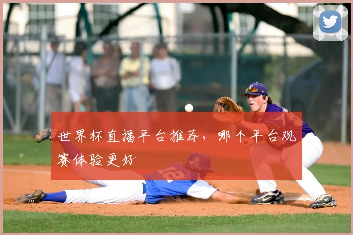 世界杯直播平台推荐,哪个平台观赛体验更好